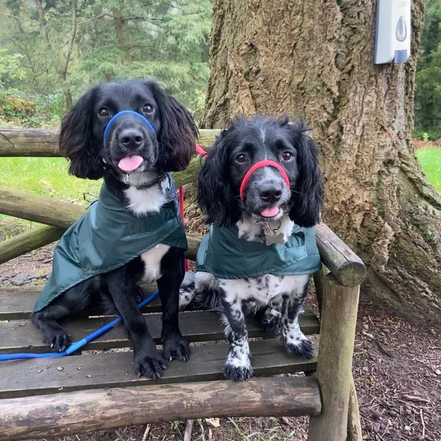 Waterproof coats - Summer