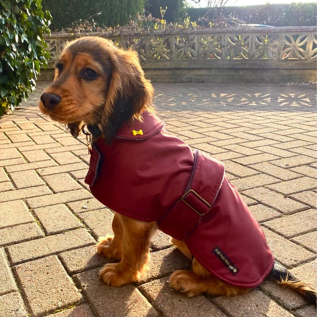 Waterproof coats - Winter