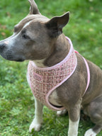 Luxury Pink Tweed Harness