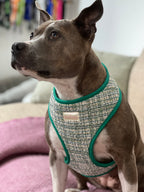 Luxury Green Tweed Harness