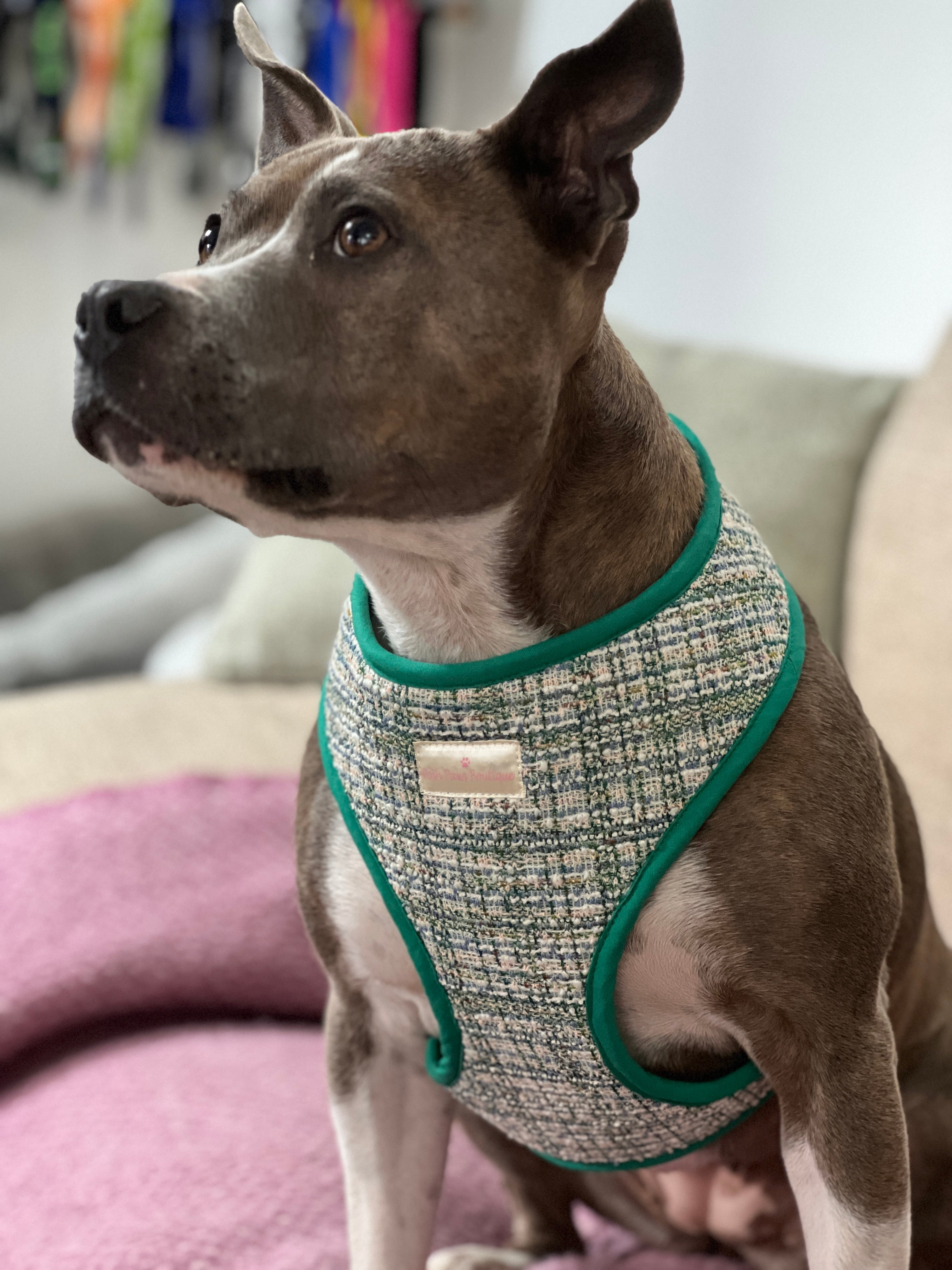 Luxury Green Tweed Harness