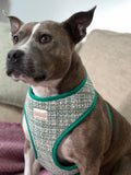 Luxury Green Tweed Harness