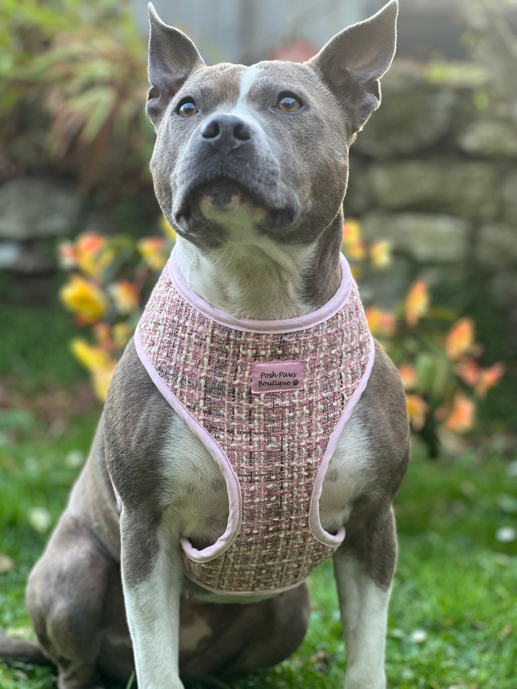 Luxury Pink Tweed Harness