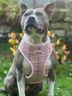 Luxury Pink Tweed Harness