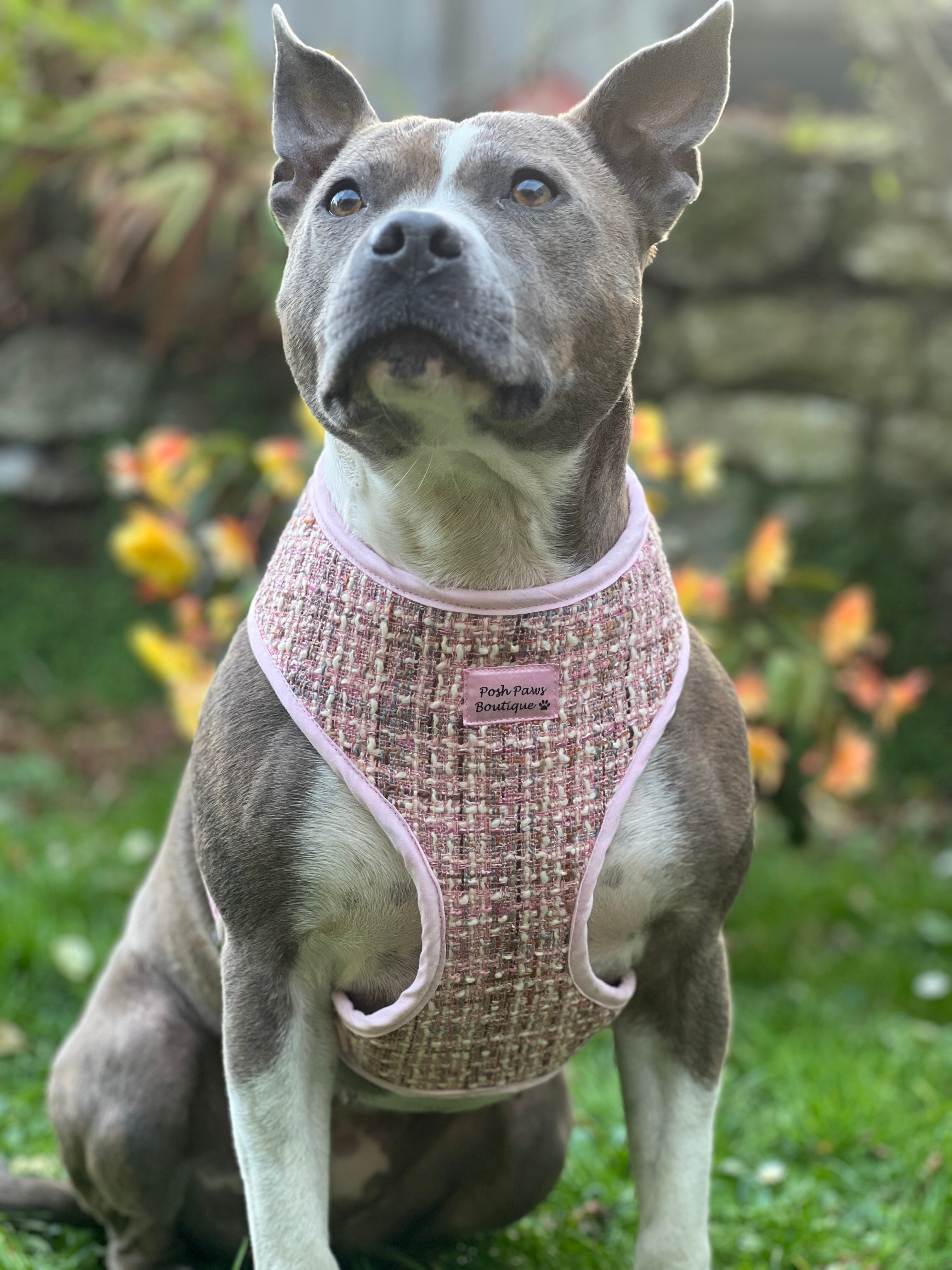 Luxury Pink Tweed Harness