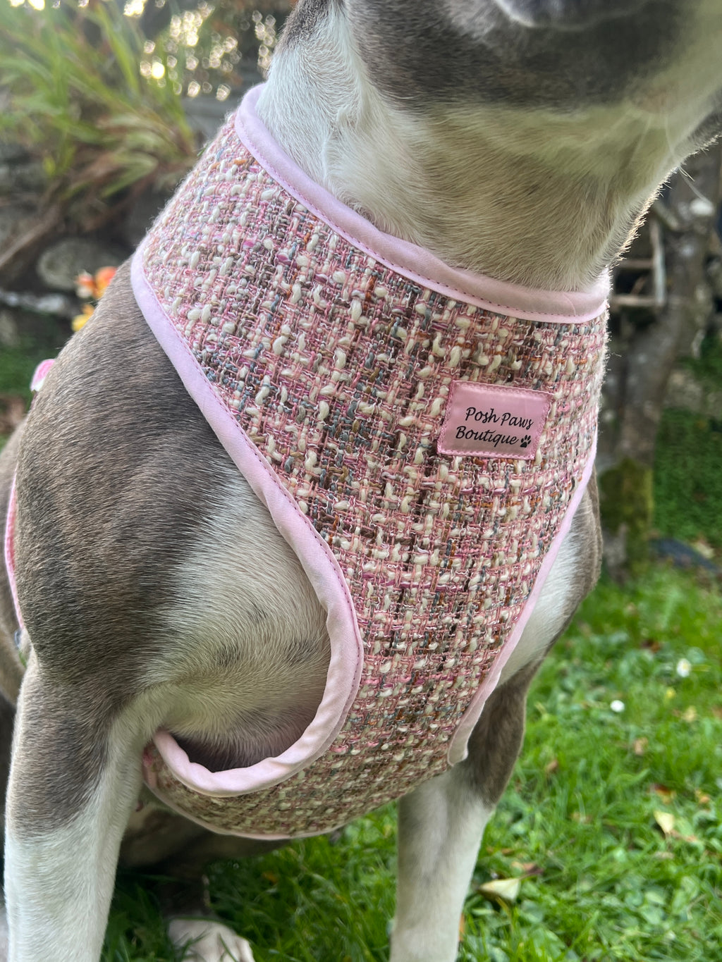Luxury Pink Tweed Harness