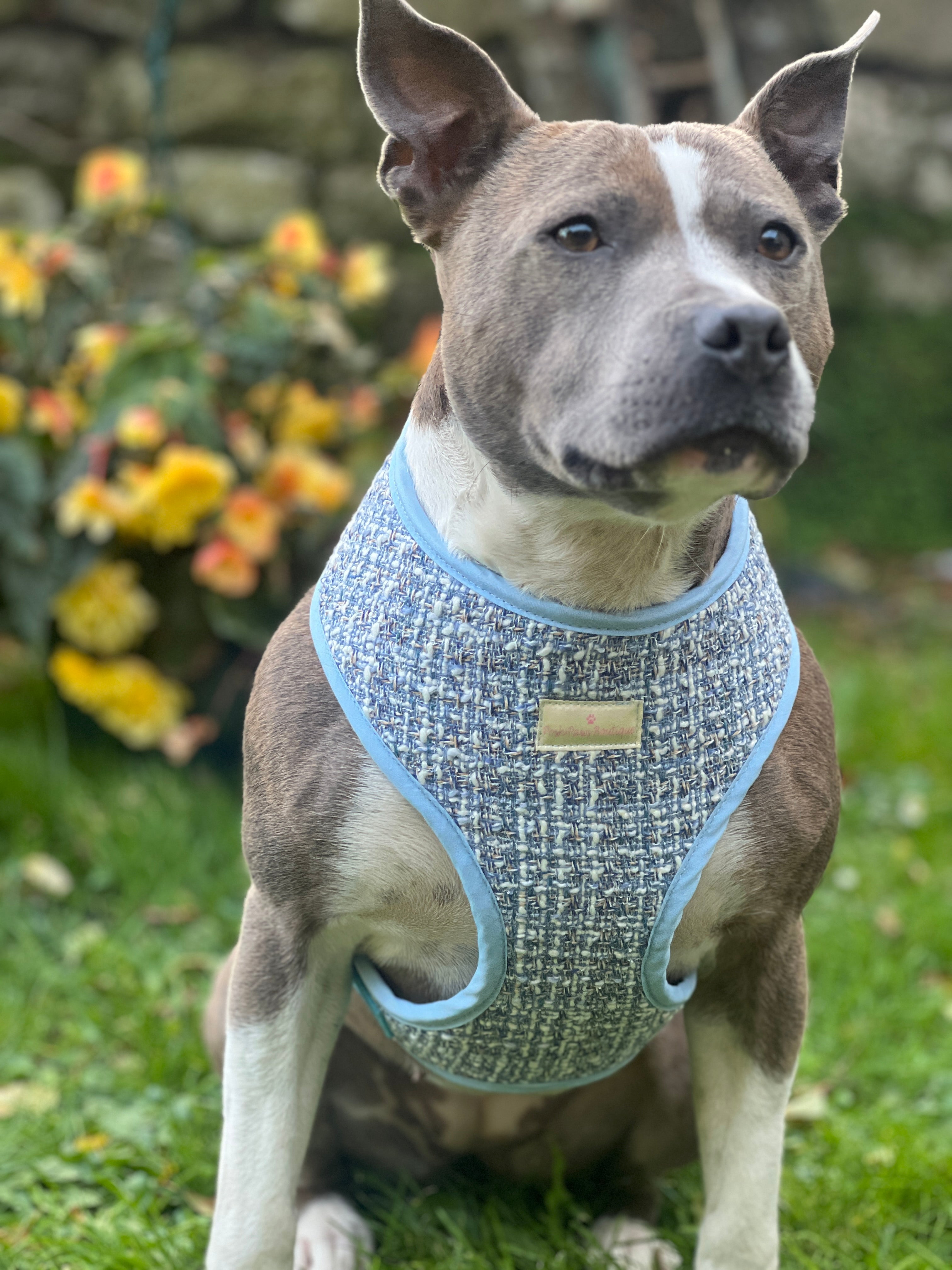 Luxury Blue Tweed Harness