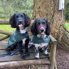 Bottle Green lightweight spring / summer made to measure waterproof handmade dog coat in carry bag