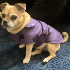 Plum/Purple Made to Measure Custom Waterproof Fleece Lined Bespoke Dog Coat