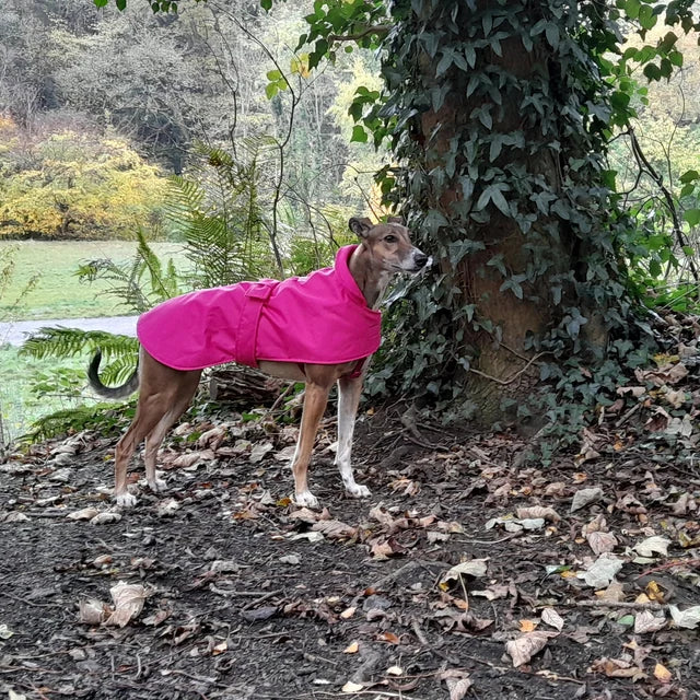 Pink Made to Measure Custom Waterproof Fleece Lined Bespoke Dog Coat