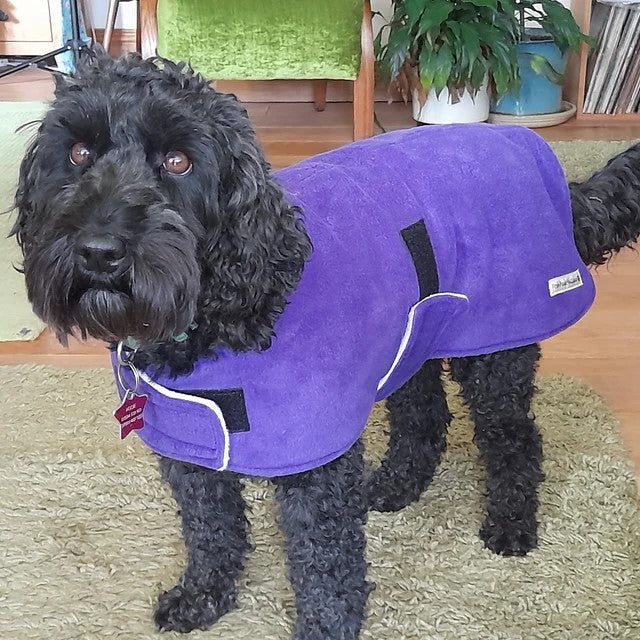 Purple & Lilac made to measure fleece dog coat with harness hole