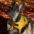 Mustard Made to Measure Custom Waterproof Fleece Lined Bespoke Dog Coat