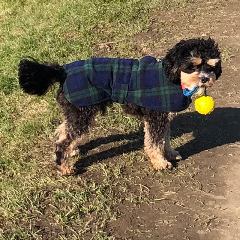 Green Tartan  made to measure fleece dog coat with harness hole
