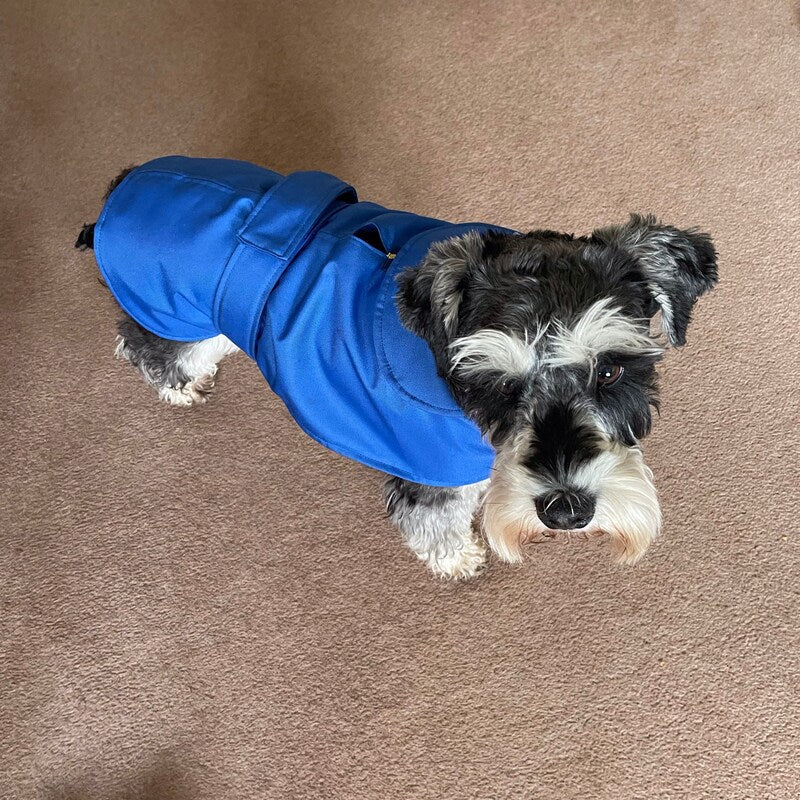 Royal Blue Made to Measure Custom Waterproof Fleece Lined Bespoke Dog Coat