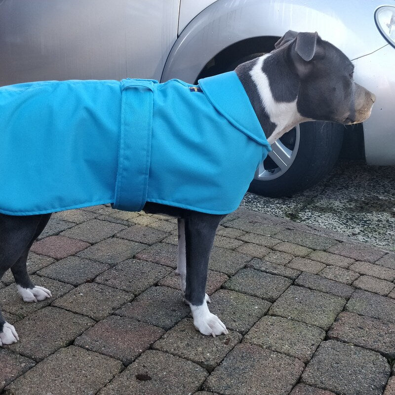 Turquoise Made to Measure Custom Waterproof Fleece Lined Bespoke Dog Coat