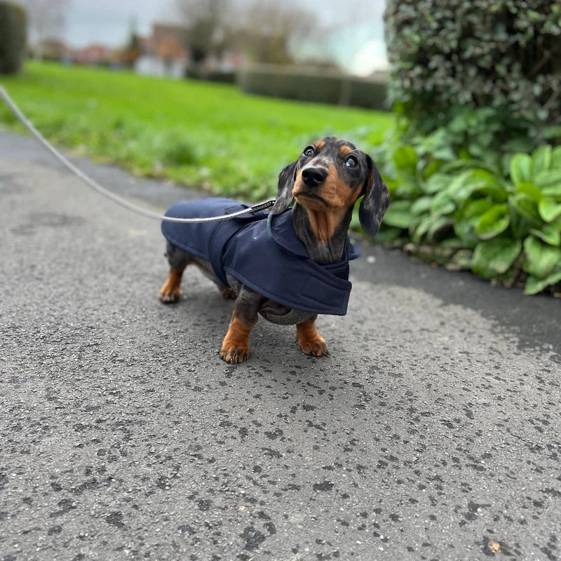 Navy Blue Made to Measure Custom Waterproof Fleece Lined Bespoke Dog Coat