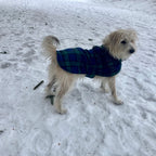 Green Tartan  made to measure fleece dog coat with harness hole