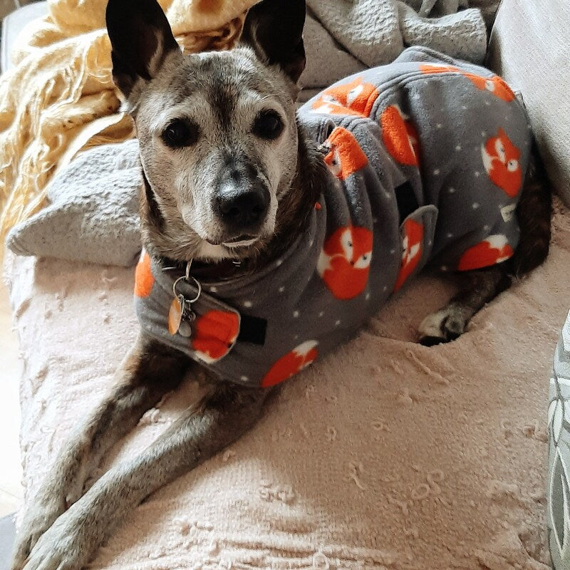 Grey Fox made to measure fleece dog coat with harness hole