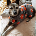 Grey Fox made to measure fleece dog coat with harness hole