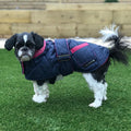 Navy blue quilted dog coat with genuine pink leather trims