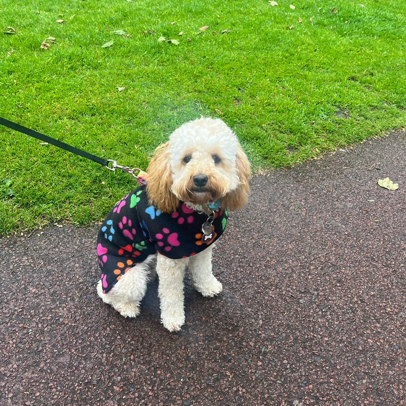 Paw Print made to measure fleece dog coat with harness hole