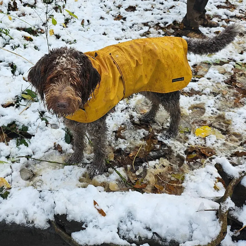 Lightweight spring / summer made to measure waterproof handmade mustard dog coat in carry bag