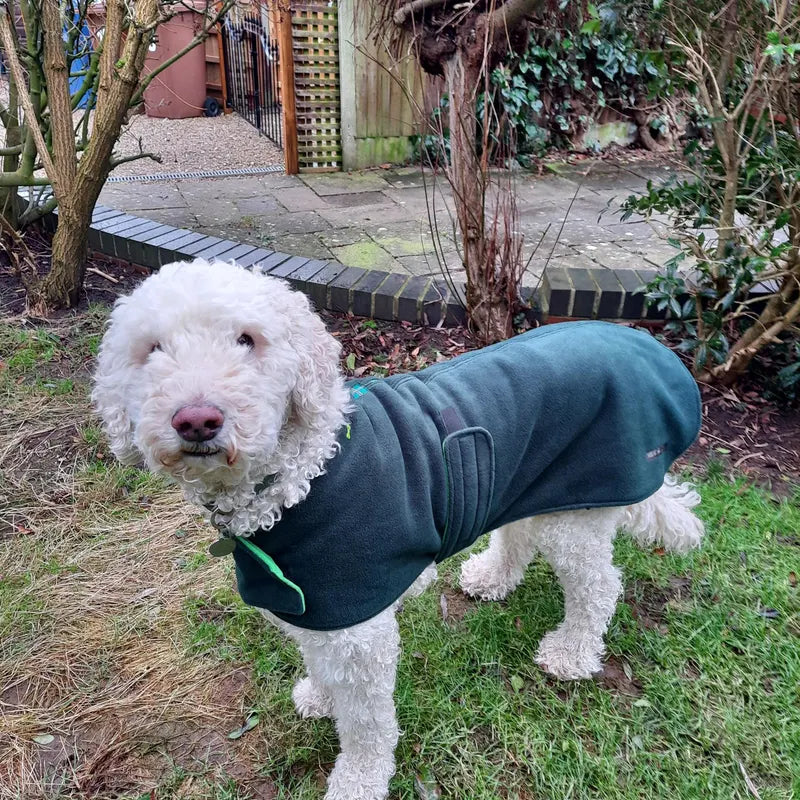 Bottle green & Emerald made to measure fleece dog coat with harness hole