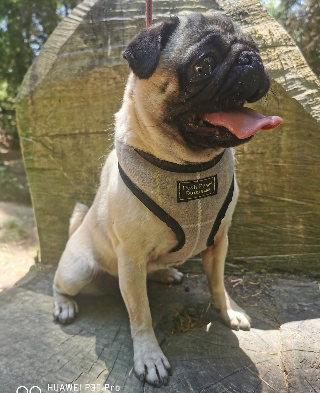 Grey Tweed Dog Harness