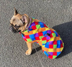 Multi colour check print  made to measure fleece dog coat with harness hole