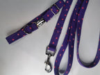 Purple and pink spot collar