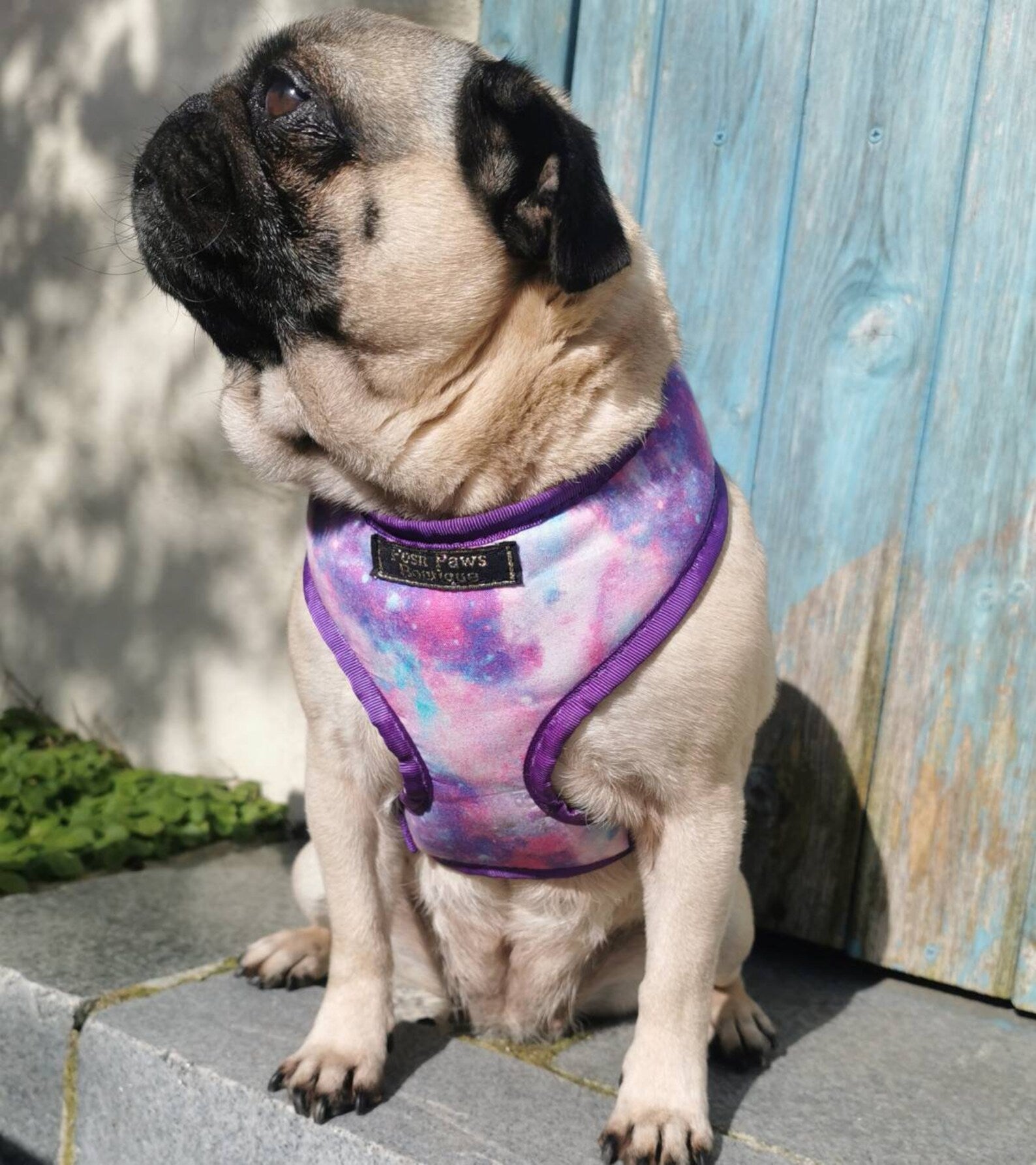 Magical Unicorn Galaxy Dog Harness