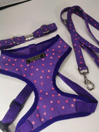 Purple and pink spot lead