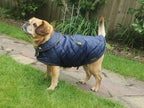 Navy & Mustard made to measure quilted shower proof bespoke made dog coats