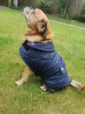 Navy & purple made to measure quilted shower proof bespoke made dog coats