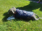 Navy & Pink made to measure quilted shower proof bespoke made dog coats