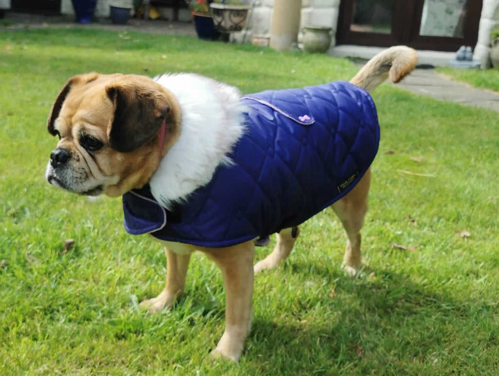 Purple & lilac quilted shower proof bespoke made dog coats with faux fur collar