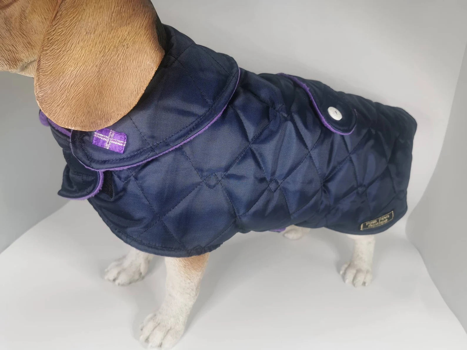 Navy & purple made to measure quilted shower proof bespoke made dog coats