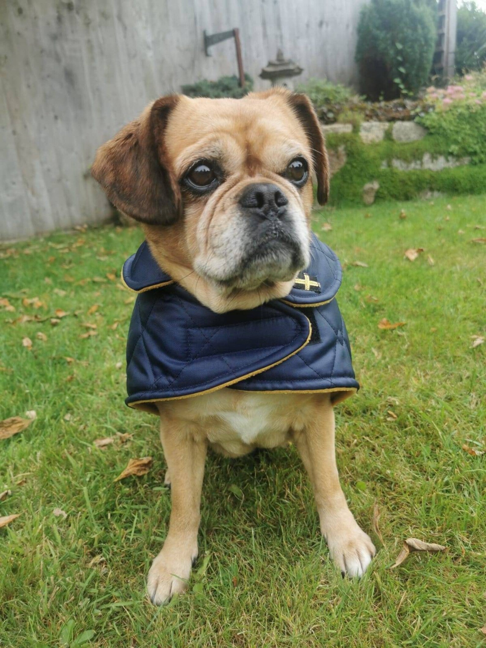 Navy & Mustard made to measure quilted shower proof bespoke made dog coats