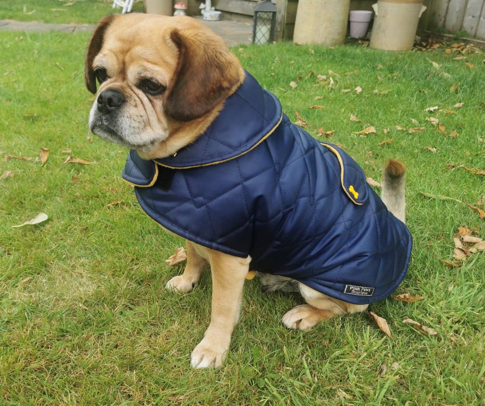Navy & Mustard made to measure quilted shower proof bespoke made dog coats