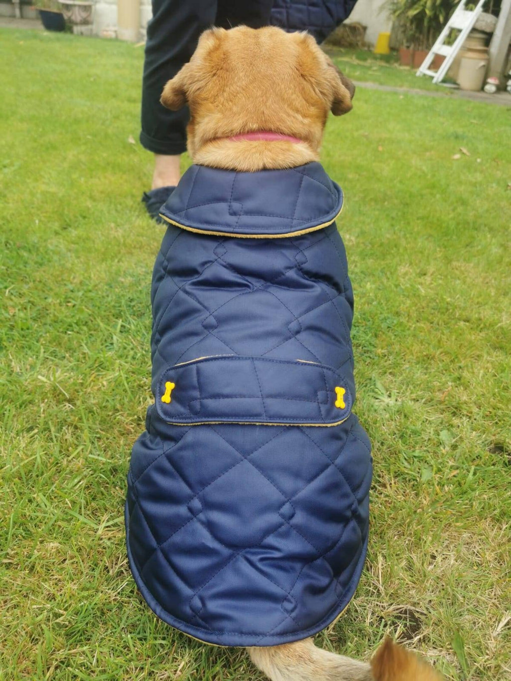 Navy & Mustard made to measure quilted shower proof bespoke made dog coats