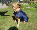 Navy & Red made to measure quilted shower proof bespoke made dog coats