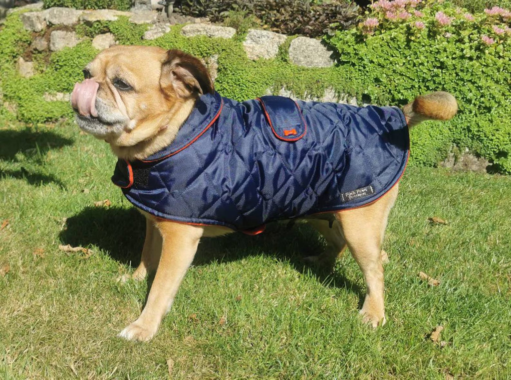 Navy & Red made to measure quilted shower proof bespoke made dog coats