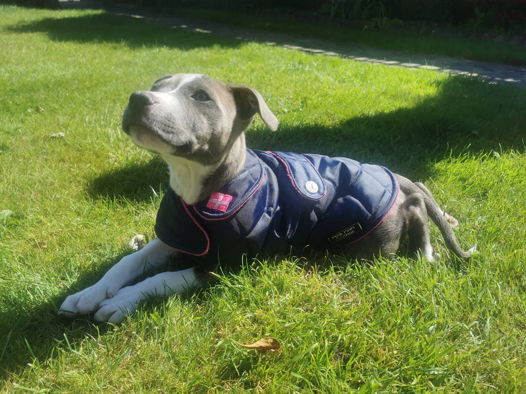 Navy & Pink made to measure quilted shower proof bespoke made dog coats