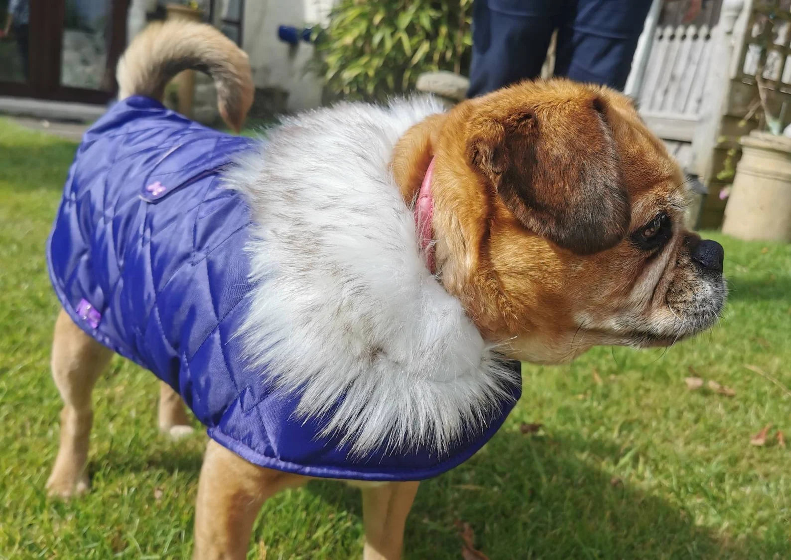Purple & lilac quilted shower proof bespoke made dog coats with faux fur collar