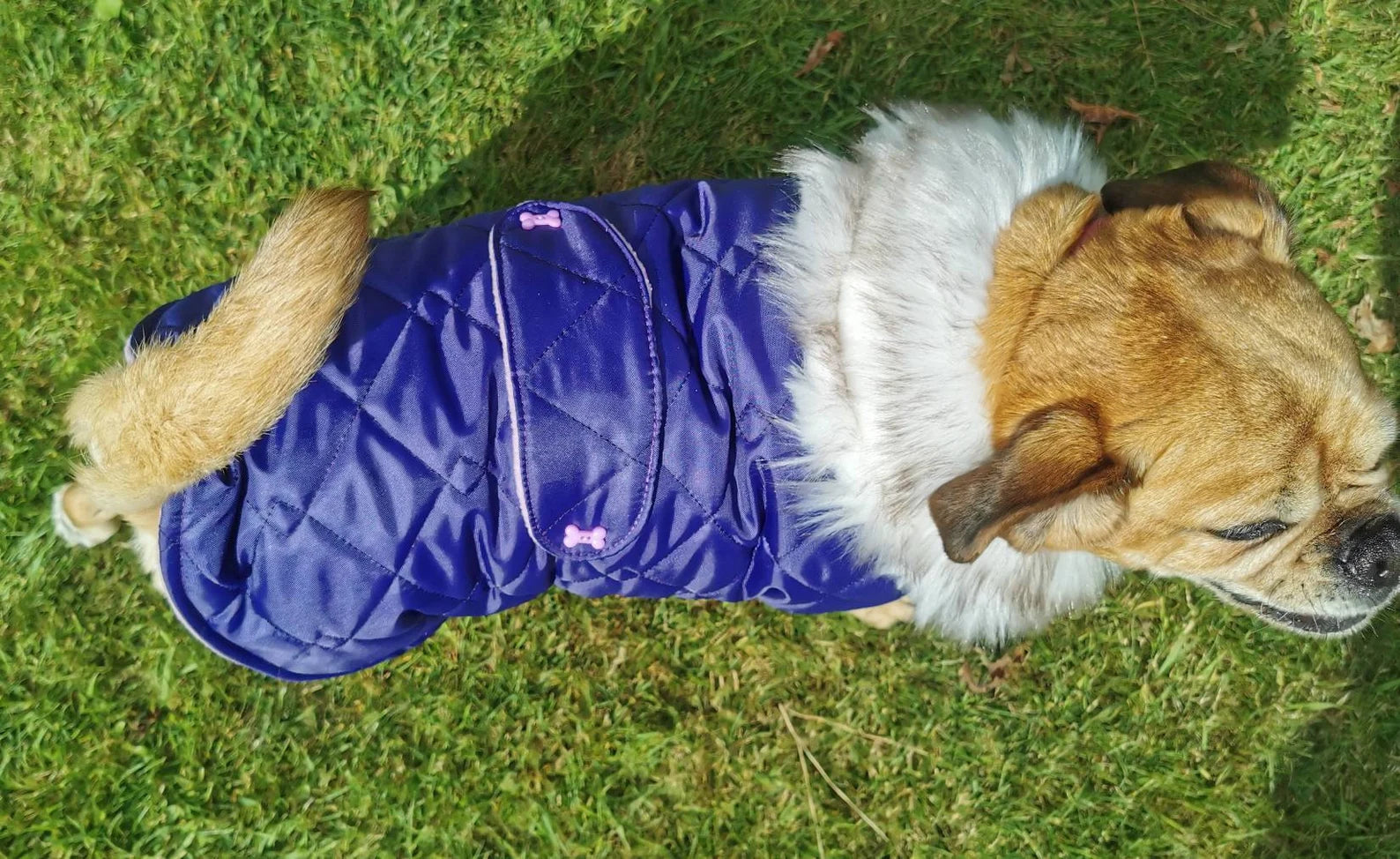 Purple & lilac quilted shower proof bespoke made dog coats with faux fur collar