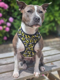 Batman Marvel Dog Harness