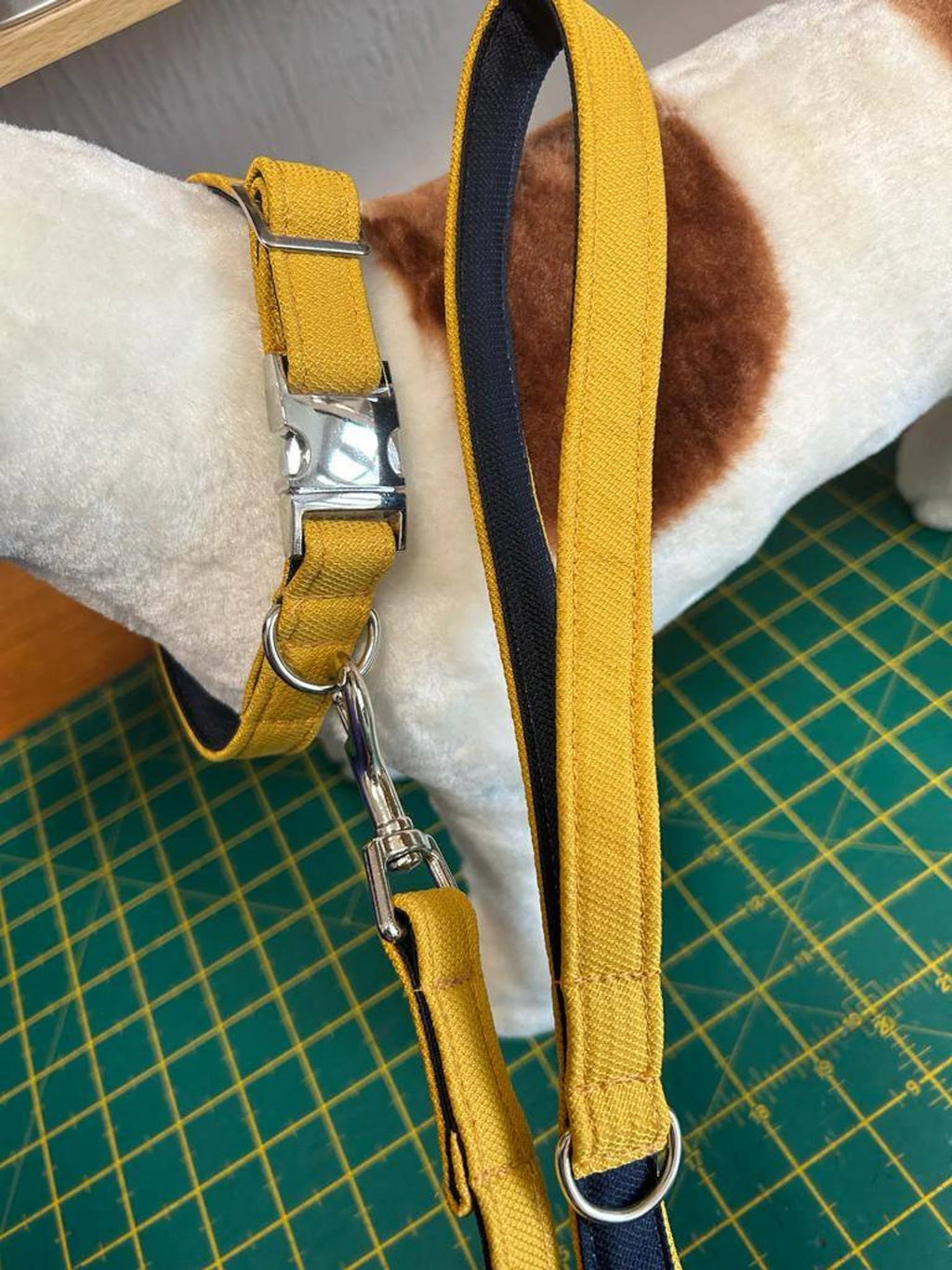 Mustard / Navy Collar