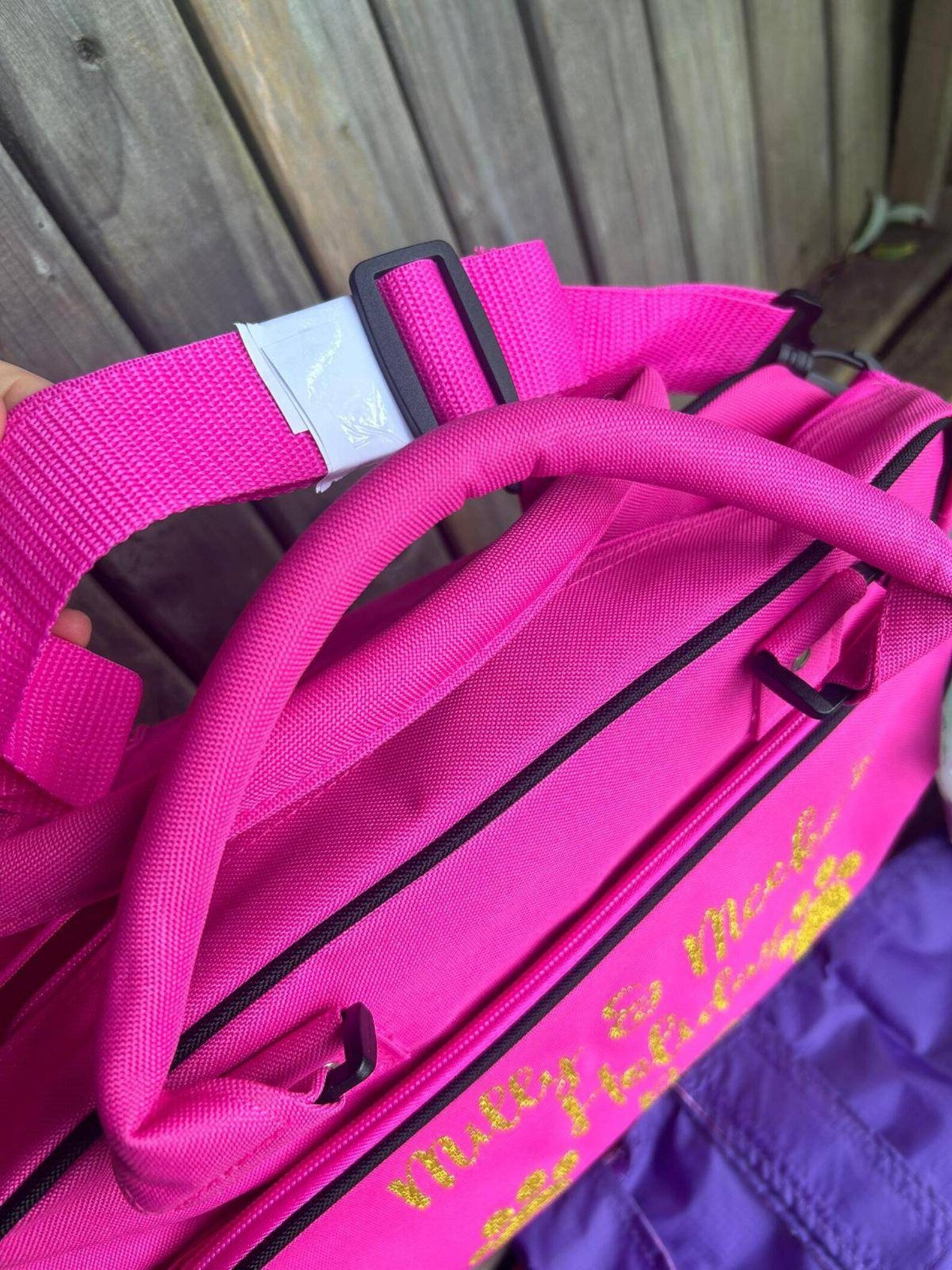 Dog / pet personalised holiday / groom / walking bag