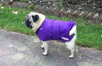 Purple lightweight spring / summer made to measure waterproof handmade dog coat in carry bag