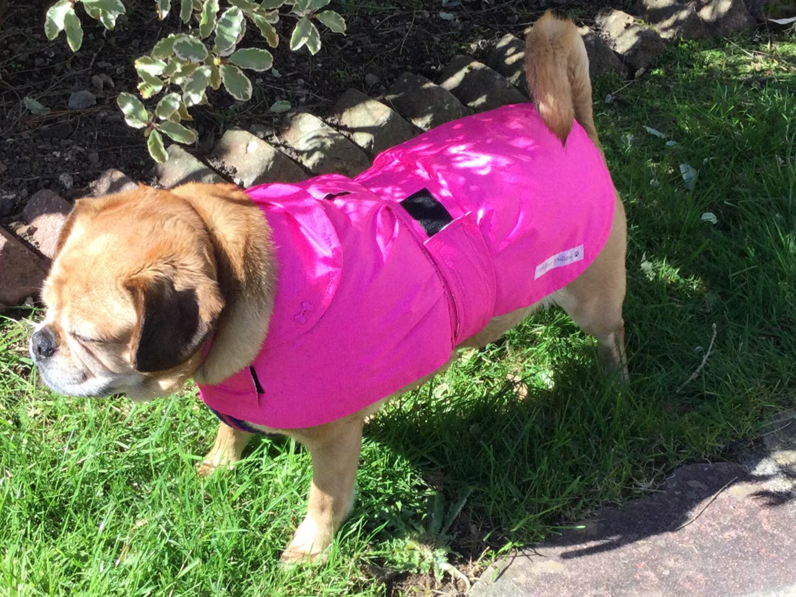 Pink lightweight spring / summer made to measure waterproof handmade dog coat in carry bag